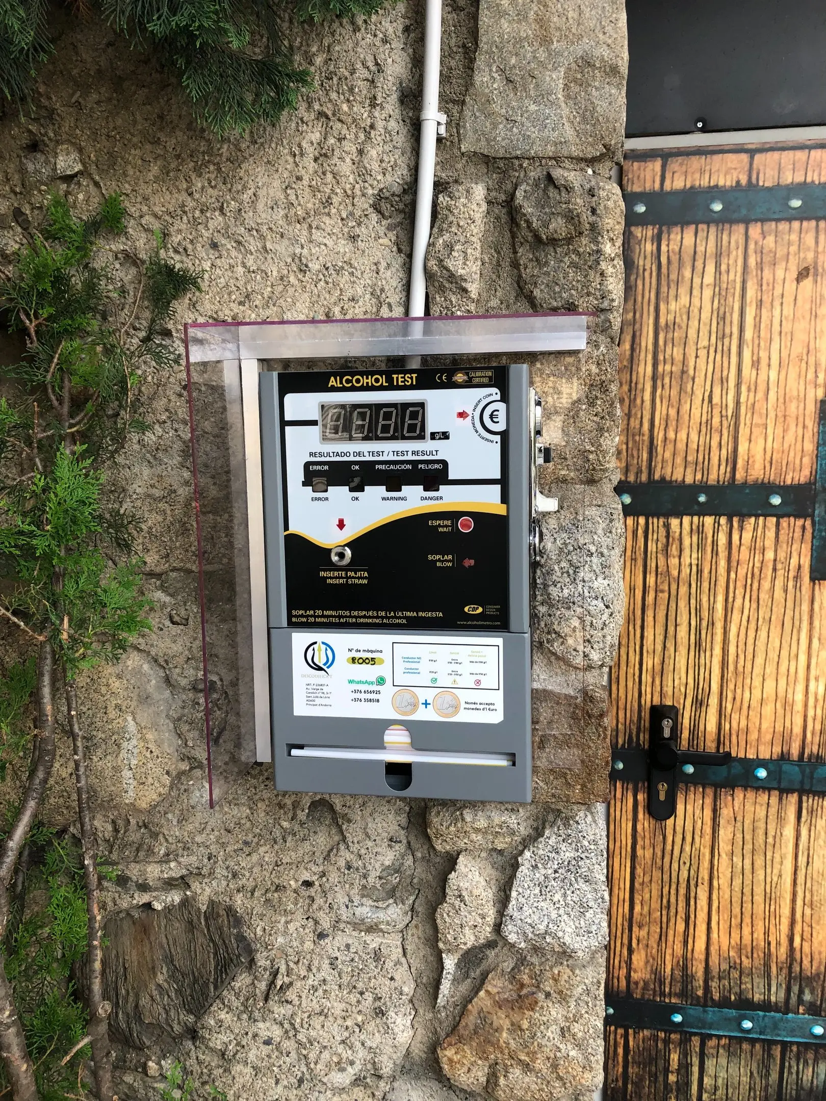 Image for testimonial from Javier P.